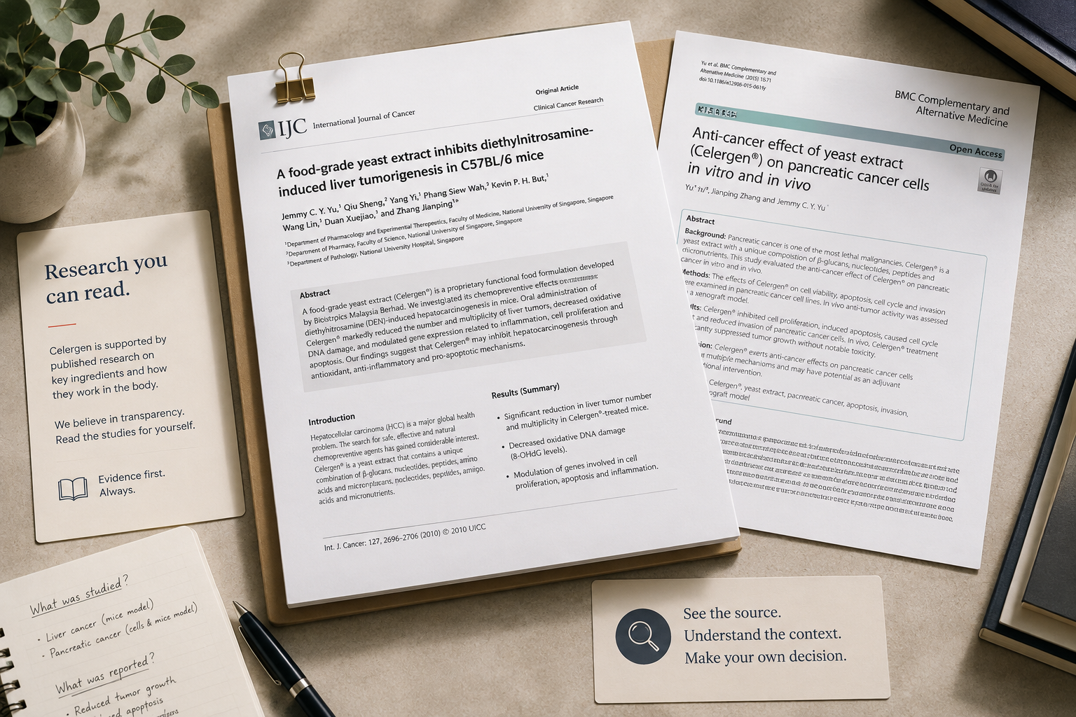 Research documents presented on a desk