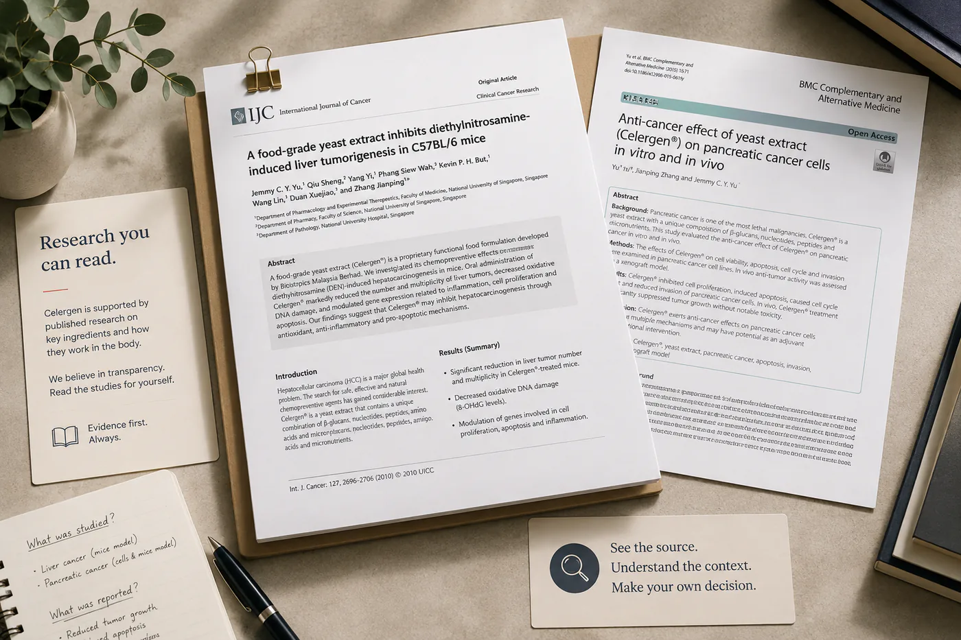 Research documents presented on a desk